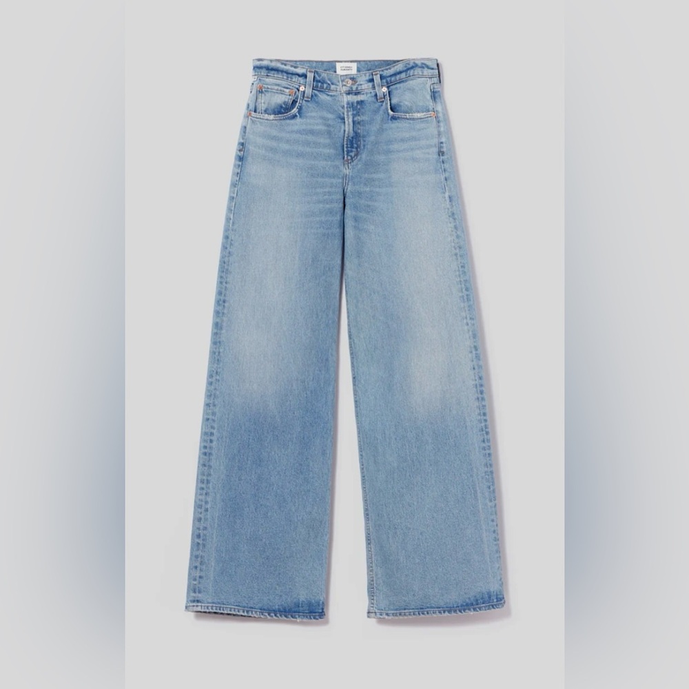 CITIZEN Lolli Mid Rise Baggy Jeans in Blythe